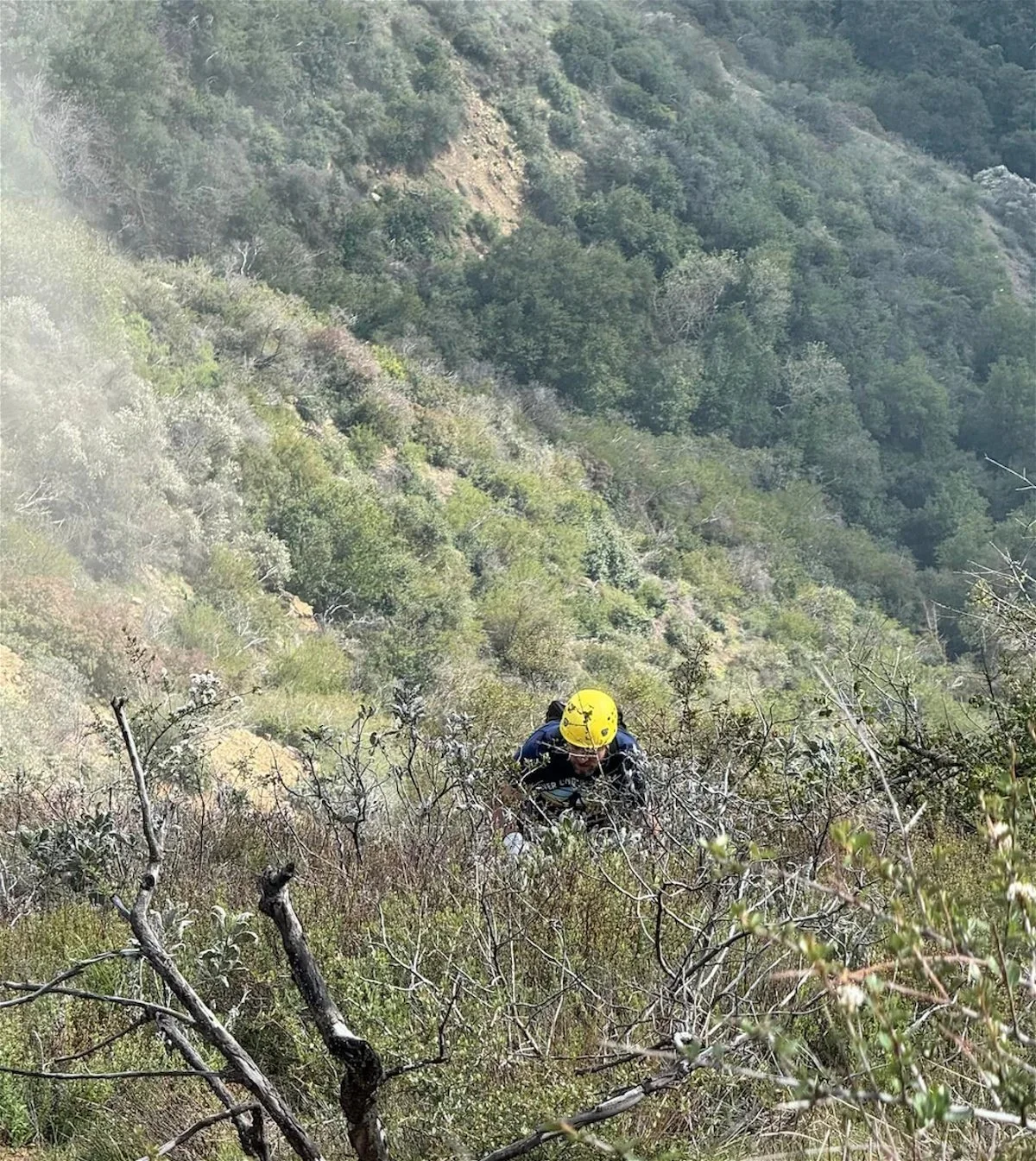 SBCSAR NEWS Stay Informed, Act Smart — Santa Barbara County Search